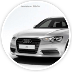 Audi Case Study